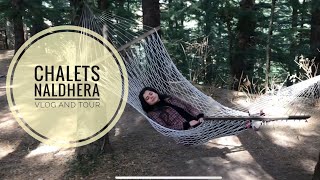 Chalets Naldhera Vlog and Property tour peaceful destination near Shimla ft revolving restaurant [upl. by Stoughton]