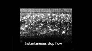 Parabolic and plug flow in a microfluidic channel [upl. by Dorweiler]