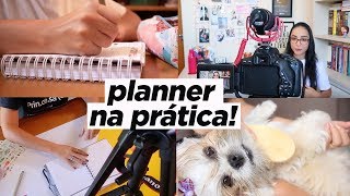 UM DIA COMIGO SEGUINDO O PLANNER  Ju Cirqueira [upl. by Kurtzig]