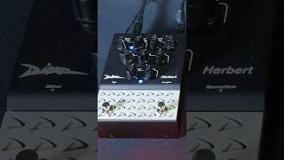 Diezel Herbert Pedal ⚡️ Unboosted amp Boosted Comparison [upl. by Ewer]