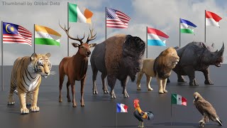 National Animals of Countries 3D  Flags and National Animals of the World [upl. by Yoreel]