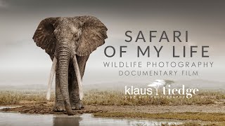 Safari of my Life  Wildlife Photography Documentary with Klaus Tiedge [upl. by Caraviello958]