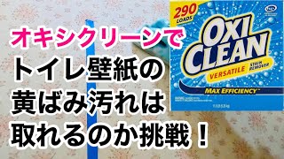 オキシクリーンでトイレの壁紙の黄ばみ掃除築40年マンション尿はね尿石 [upl. by Kissel150]