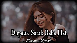 Dupatta Sarak Raha hai Slowed and Review lofi hindisong slowedandreverb [upl. by Dode]