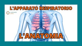 LAPPARATO RESPIRATORIO  LANATOMIA  INFERMIERI Online [upl. by Gerhardt56]