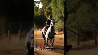 Horse running video  horse racing video  horseriding horseracing horselover animal horse [upl. by Ainaznat649]