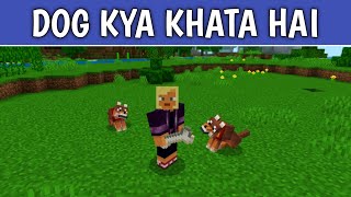 Minecraft Mein Dog Kya Khata Hai  How to Tame Dog in Minecraft  Minecraft Wolf Feed  Minecraft Pe [upl. by Pearline389]