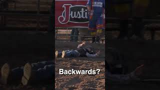 Mutton Bustin  Little Kids Riding Stampeding Sheep rodeo cheyennewyoming muttonbustin [upl. by Hendon]