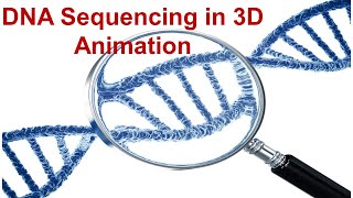 DNA Sequencing  3D Animation For Better Understanding [upl. by Ellehcan522]