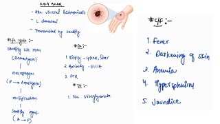 KALA AZAR NOTES  INFECTIOUS DISEASE  MEDICINE  ONE PAGE NOTES  4TH PROFF  MBBS [upl. by Saucy]