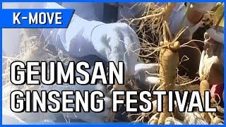 KMOVE Geumsan Ginseng Festival  YTN KOREAN [upl. by Bradly831]