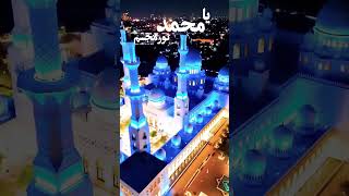 💚Ya Mohammad Nure Mujassam ❤️i love Mohammad 💚🕋🤲 Pleasesubscribe Short [upl. by Aimej]