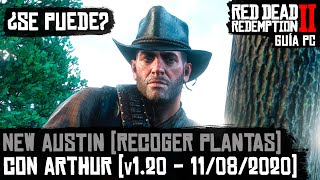 ✔ Red Dead Redemption 2 PC Recoger plantas con Arthur en New Austin v120v121 11082020 [upl. by Adnaerb]