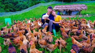 Building a life off the grid EP71  Gardening vegetables taking care of 500 chickens [upl. by Ardnovahs]