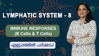 Lymphatic System  8  Immune Responses B cells and T cells  Malayalam [upl. by Gannie]