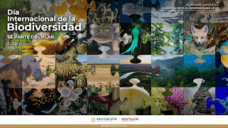 Calendario Ambiental Conciencia para la Sostenibilidad 2024 Día Mundial de la Biodiversidad [upl. by Bilak910]