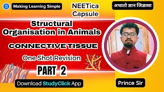 Structural Organisation in Animals  One Shot Revision  Connective Tissue  PART2  NCERT Class 11 [upl. by Adora]