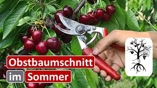 Obstgarten im Juli  Schnitt nach der Ernte bei Kirschen und Sommerschnitt beim Apfel [upl. by Geer]