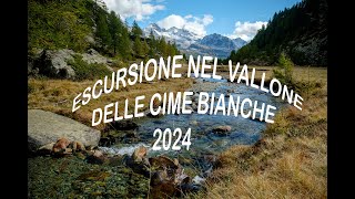 Vallone Cime Bianche [upl. by Sykleb]