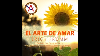 Audiolibro Erich Fromm  El Arte de Amar  Capítulo 21  Voz Humana [upl. by Garfield]