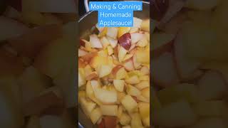 Homemade Applesauce Making And Canning FULL Tutorial on my Channel food apples [upl. by Novyad]