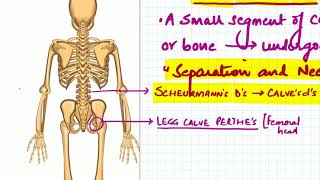 Common Osteochondritis [upl. by Brant442]