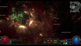 Witchwood Path of exile hideout [upl. by Leizo646]