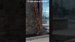 17 mph wind at Cabela’s Wind [upl. by Acissj]