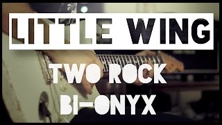 Little Wing Jimi Hendrix  cover by Claudio Tristano featuring TwoRock BIONYX [upl. by Htebazile]