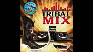 Tribal Mix quot20 Mixesquot Disco Completo [upl. by Aracal]