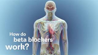 How do beta blockers work [upl. by Ellinger]