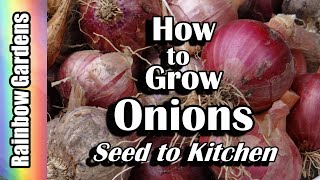 How to Grow Onions Seed to Kitchen Problems Harvest Curing Save Seed Start from Seed More [upl. by Woodhead]