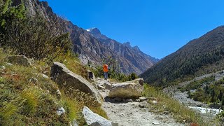 GaumukhTapovan Trek  EP 1  Gangotri Uttarakhand [upl. by Aenad]