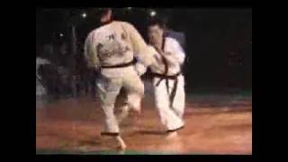 Korea Hapkido Jin Jung kwan demo [upl. by Cacilie151]