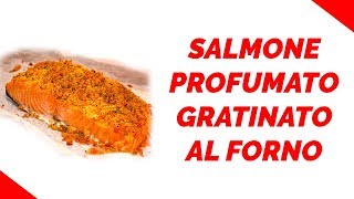 SALMONE FRESCO GRATINATO AL FORNO  Ricetta last minute per mariti nel panico  OggiCucinaMirco [upl. by Nowell962]