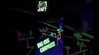 Catfish and carpfishing howto carpfish trending shorts familyfun [upl. by Ori]