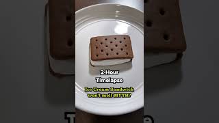 SOLVED Walmart Ice Cream Sandwiches Wont Melt  Fact or Myth shorts [upl. by Enahs]