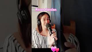 Rosas Pandan Pislita Corrales cover by reggz visayansongs bisayasong [upl. by Haliehs460]