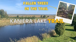 Fallen trees on the trail  Solo Hiking on Kaniera Lake Trail  Silent Hiking [upl. by Atinehc]