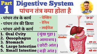 Digestive System  पांचन तंत्र   GI Tract  Organs of Digestive System  Oral Cavity  Oesophagus [upl. by Chiang]