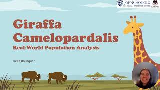 Giraffa Camelopardalis Linear Algebra Project [upl. by Yeruoc990]