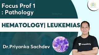 Hematology  Leukemias  Focus Prof 1  Pathology  Unacademy Future Doctors  DrPriyanka [upl. by Iretak]