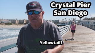 Crystal Pier San Diego CA  Pier Fishing in California [upl. by Yentrok]