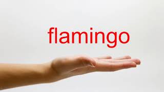 How to Pronounce flamingo  American English [upl. by Toh905]