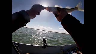 Fishing Keyhole Reservoir Wyoming Day 2 Walleye in the Boat [upl. by Karlens]