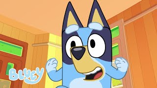 Perro hamburguesa  PEQUEÑAS HISTORIAS DE BLUEY  Bluey Español Canal Oficial [upl. by Annaicul343]