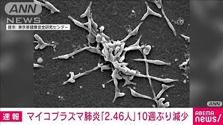 【速報】マイコプラズマ肺炎の全国患者数「246人」に 過去最多から減少もほぼ横ばい2024年11月12日 [upl. by Ayotahs]