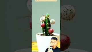 Dragon fruit magic🍓😱 ItemsNew Viral Gedgets Smart Appliances  Kitchen UtensilsHome Inventions [upl. by Shaughn]