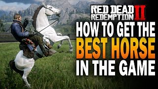 How To Get THE BEST Horse In The Game The Rare Arabian Red Dead Redemption 2 RDR2 [upl. by Pelson597]