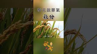 【二十四節氣】泰元說節氣：兩岸秋分。 Part2 shanghai taiwan taiwanculture [upl. by Ueik]